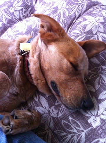 20110410-114330.jpg