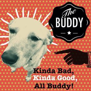 Posted March 19, 2016 - Meet Buddy. He’s part Australian Cattle Dog, rescued from a bad neglect situation, and is about 7. The third dog adopted by us, he’s very street smart, and an excellent hunter, a skill that occasionally dismays us. He was an inside dog abandoned by his original family as their kids got older. They chained him outside in a low spot, on a very short chain. When it rained, he had to climb on top of his house to avoid the flooding. He went without food, water and attention for long periods, as the father once told the neighbor he was, "done feeding him". This led to eventually being rescued by the neighbor, then fostered by us. We quickly figured out we suck at being fosters, and Buddy came to live with us. His social skills leave some to be desired, but he's improved a lot. He’s eaten glass Christmas ornaments, an entire cooked chicken, toothpicks, 200 Tums, 200 Prilosec, a bag of grits, and countless flip-flops. Thankfully, that issue seems to be over. He’s clingy, and tries hard to make up for the love he missed in his first year and a half of life before us. He is super affectionate and loves to sit on anyone who'll let him and lick them until they're beyond tired of it. He still has a few anxiety related issues, but as time goes on, we've loved most of those out of him. Living with two other dogs, he struggled to find his spot in the pecking order, and he got into a couple of scuffles with his sisters, most notably, one incident with Sophia where stitches were needed to sew up a nose injury when she decided she'd had enough. He's settled in as the middle dog, reluctantly giving Lola the top spot, and being thankful Sophia has allowed him some authority over her. Buddy shadows us for much of the day, studying our every move as if he's practicing to become human. He hates anything that flies and does his best to either catch it, or bark at it while running underneath. He has run into a fence at full-force more than once, while looking up and barking at airplanes. He doesn't have a normal sounding bark, but makes a silly, whiny, "Woo-Woo" noise instead. His biggest pet peeve is having his nails trimmed, and is not beyond letting everyone know he doesn't enjoy it.