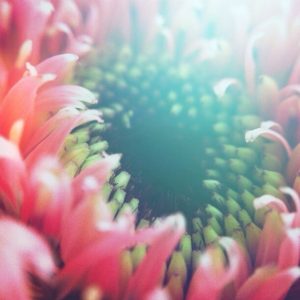 Posted July 12, 2014 - How we treat things more delicate than us says volumes about our character. We are but strangers visiting this land, soon to return home. Tread lightly