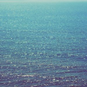 Posted September 13, 2014 at North Myrtle Beach, SC - I've looked and looked but I'm unable to find my problems in the sea