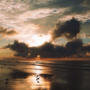 Posted September 13, 2014 at North Myrtle Beach, SC - Birds on the beach. Sunrise edition