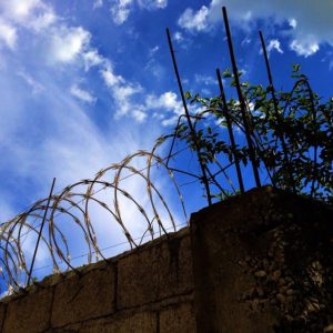 Posted June 10, 2013 at Petionville - The wall - Haiti edition