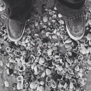 Posted November 28, 2013 at Melbourne Beach, FL - From where I stand...