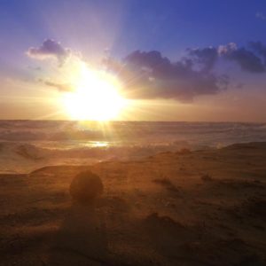Posted November 26, 2015 at Melbourne Beach, FL - I'm just coconuts about Florida sunrises. Happy Thanksgiving!