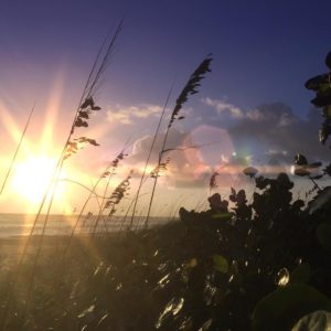 Posted November 26, 2015 at Melbourne Beach, FL - It's going to be a good day!