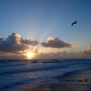 Posted November 27, 2015 at Melbourne Beach, FL - My unfiltered Florida morning