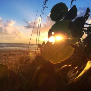 Posted February 1, 2016 at Melbourne Beach, FL - The morning breaks