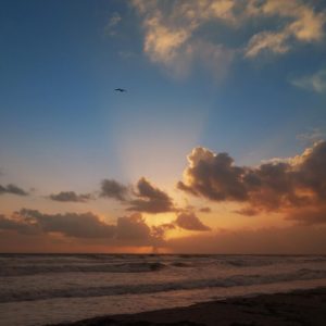 Posted June 2, 2016 at Melbourne Beach, FL - Where I wish I was right now