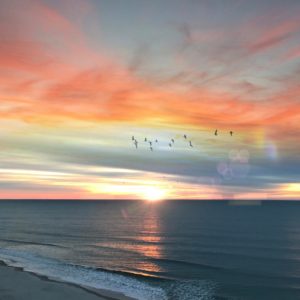 Posted February 10, 2017 at Myrtle Beach, SC - The sunrise in Myrtle Beach proves life is just better here