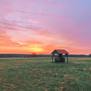 Posted March 6, 2017 at Phillip Morris - The Land Tobacco Built