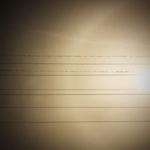 Posted November 5, 2014 - Birds on a wire