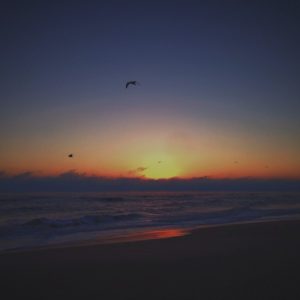 Posted February 23, 2014 at Melbourne Beach, FL - Sunrise on the beach
