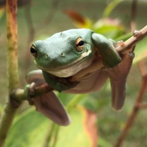Posted October 16, 2017 - No matter what you’re going through, just hang in there, you’ll eventually outlast it