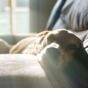 Posted November 27, 2018 - Relax...