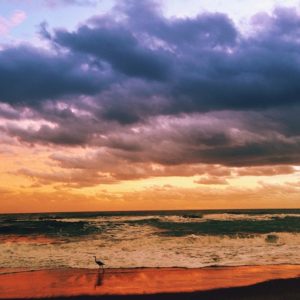 Posted November 29, 2013 at Melbourne Beach, FL - The Moment