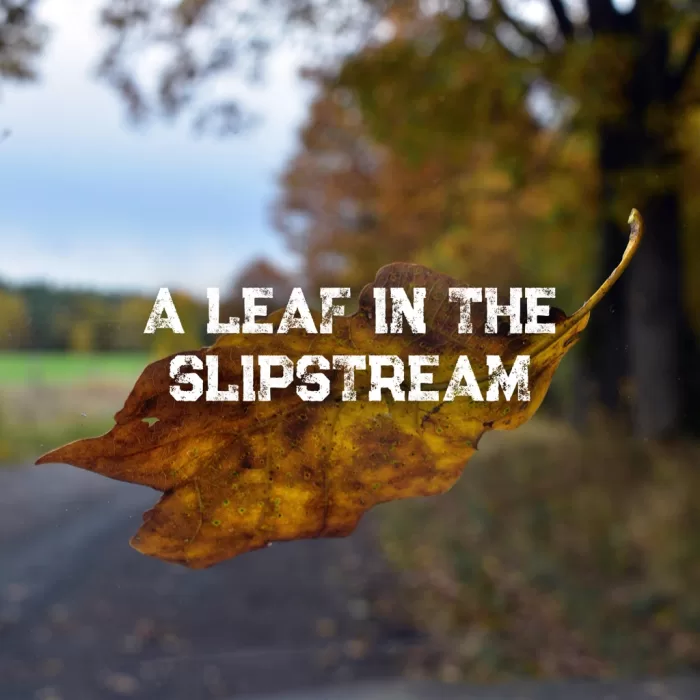 A Leaf in the Slipstream