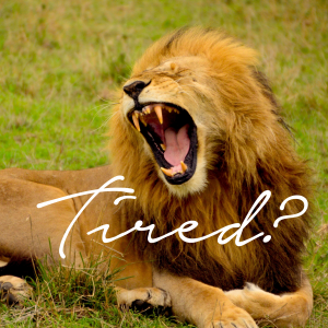 Tired?